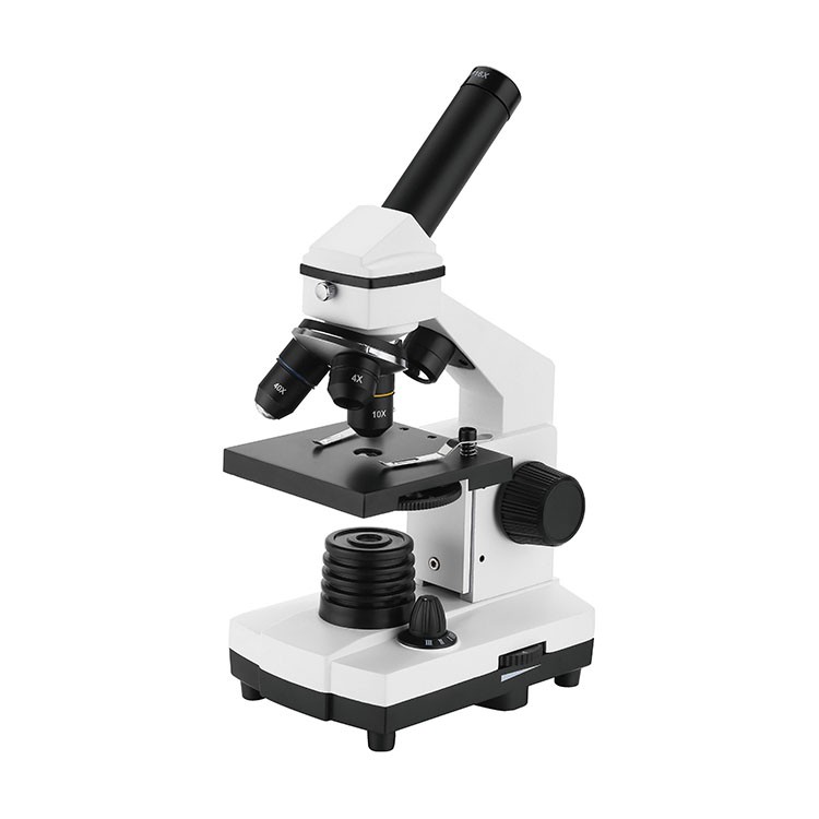Best Microscope for Students