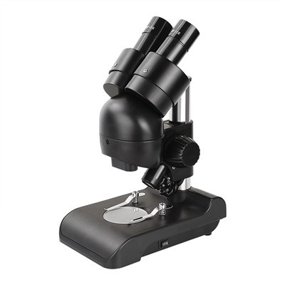 Stereo Light Microscope