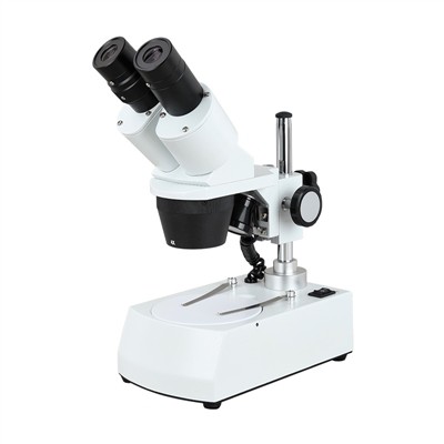 how a stereo microscope work