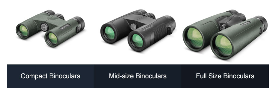 info-883-289 info-883-289