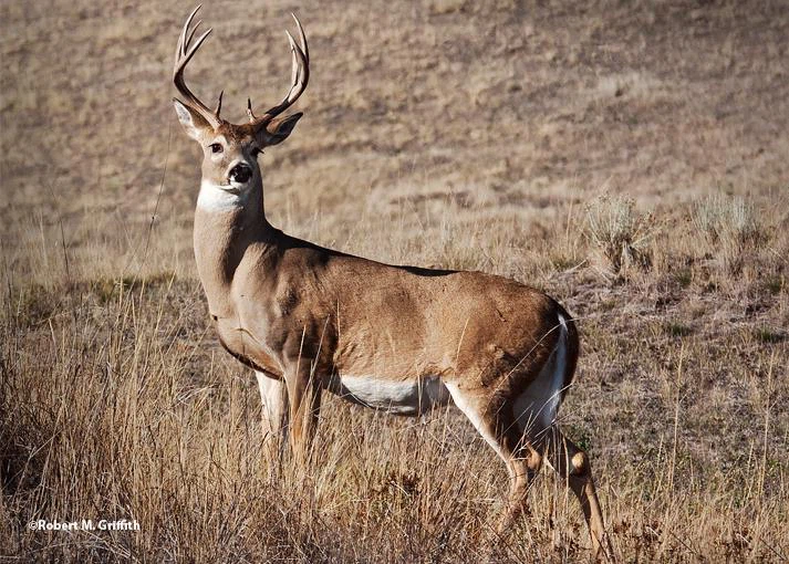 144628466178719983931437807918944241966554n 144628466178719983931437807918944241966554n