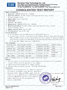 ROHS- Laser flashlight ROHS- Laser flashlight